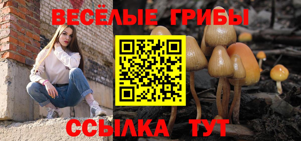 купить закладку  Галлюциногенные грибы Magic Shrooms  Вход с VPN  Лениногорск 