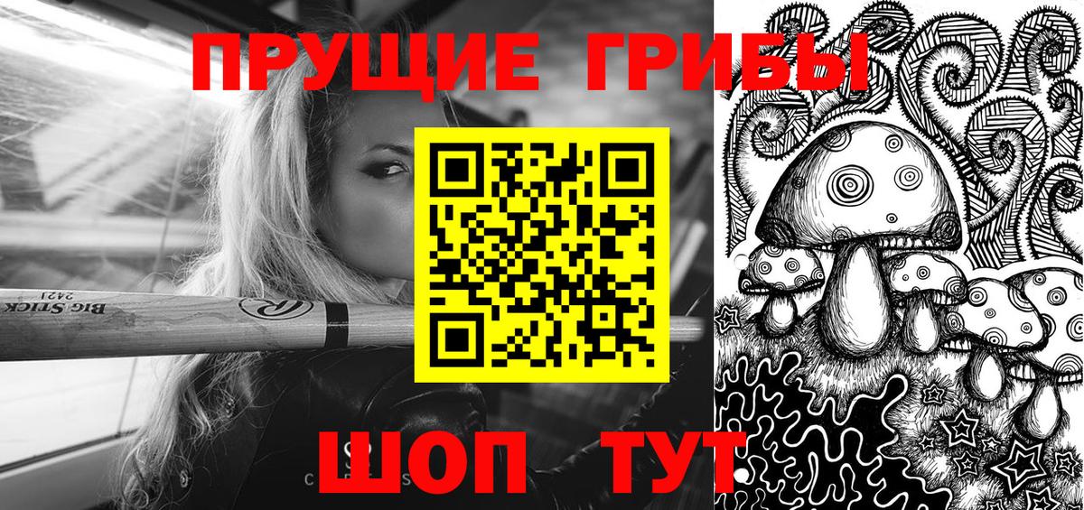 Псилоцибиновые грибы Psilocybe Лениногорск
